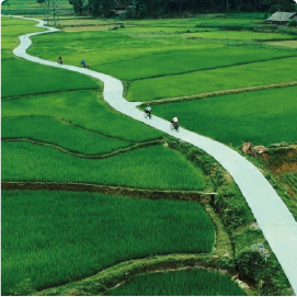 Sapa – The enchanting misty town